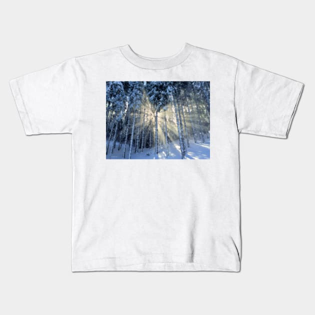 Dappled Sunlight in Winter Forest Kids T-Shirt by RainbowStudios